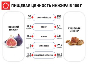 Сколько свежего инжира нужно для получения 1 кг вяленого, сушеного инжира?