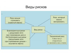 Какой из видов рисков нельзя застраховать в России?