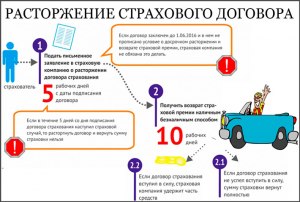 Можно ли при покупке нового авто отказаться от ОСАГО?