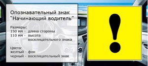 Имеет ли право пешеход перейти крупную улицу, если она сплошь перекопана?