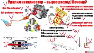 Вы удаляли со своего авто катализатор? Почему? Как это повлияло на авто?