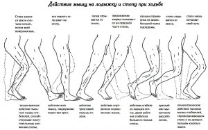 На сколько отстают из-за пит-стопа и почему?