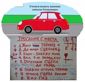 Сколько надо лет, чтобы научиться хорошо водить автомобиль?