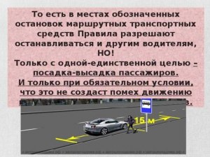 Можно ли автомобилисту останавливаться на автобусной остановке?