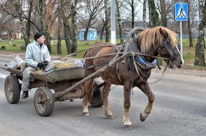 Какой транспорт быстрее: электросамокат или гужевая повозка?