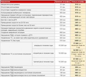 За нарушение каких ПДД выросли штрафы году?