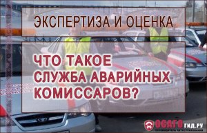 Возможно ли привлечь аварийных комисаров к ответсвенности?