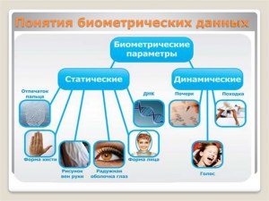 Что входит в биометрические данные человека?