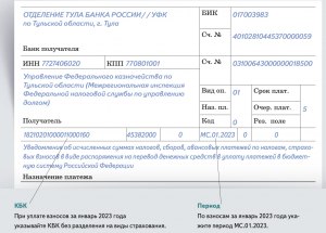 Как платить ЕНП отправлять уведомление по налогам декабрь сколько раз?