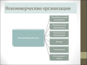 Как негосударственное предприятие может быть не коммерческим?