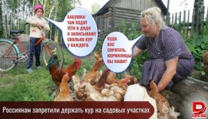 К какой ответственности привлекали лиц., которые держали кур на даче?