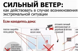 Если во время очень сиииильного ветра в окно прилетает шифер, что делать?