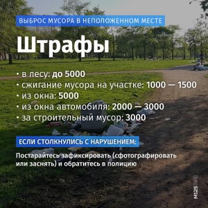 Есть ли штрафы за вынос большого объёма мусора, какие?