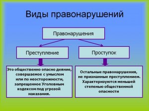 Вброс насекомых в квартиру — это правонарушение или преступление? Почему?