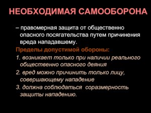 Где читать ППВСРФ о применении необходимой самообороны?