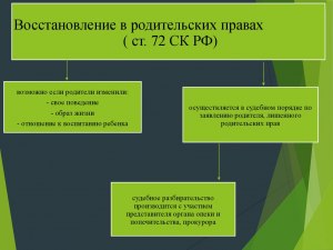 Как судимой матери восстановиться в родительских правах и забрать дочь?