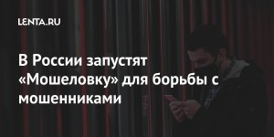 Что за «Мошеловку» для борьбы с мошенниками запустят в России?