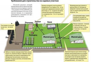 Может ли гражданин построить на свободной территории город?