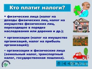 Кто и почему не платит налоги?