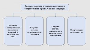 Должно ли государство обеспечивать граждан в период ЧС? Почему?