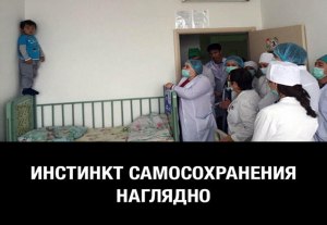 Почему у хулиганов и дебоширов нет инстинкта самосохранения?