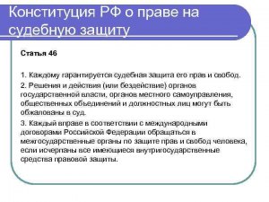 Защищает ли права вегетарианцев новая конституция?