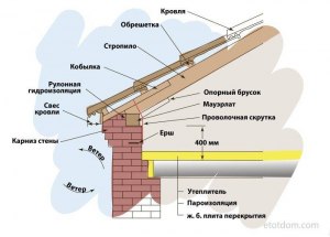 Где в здании находится кобылка?