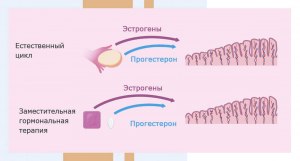 Какие препараты используют для роста эндометрия при эко?