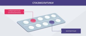 Какие спазмолитики признаёт доказательная медицина?