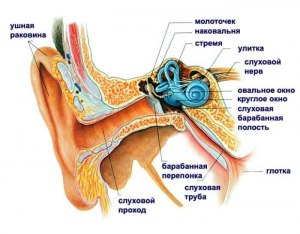 Шум в ушах при давлении 120 - 80. Какая причина?