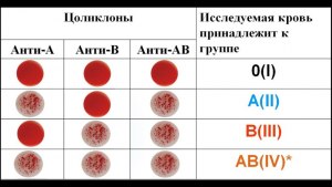 Кто и когда открыл группы крови?