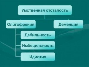 Неспособность к математике-это патогномоничный признак олигофрении?