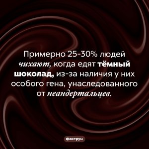 Почему некоторые люди чихают от шоколада?