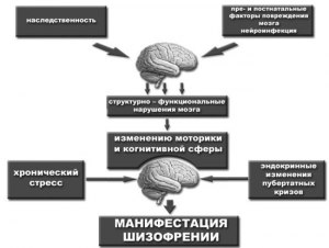 Может ли вялотекущая шизофрения перерасти в прогрессивную?