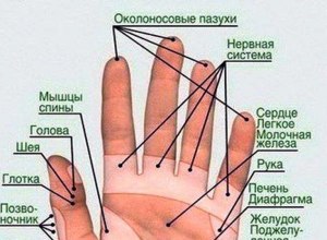 Правда ли, что массаж среднего пальца руки избавляет от тошноты? Почему?