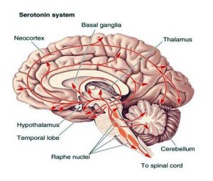 Что такое серотониновая яма?