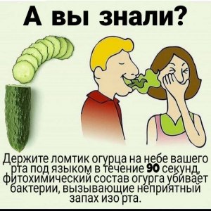 Как быстро избавиться от водочного перегара?