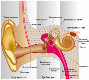 Нервный тик в ухе. Какие причины и как лечить?