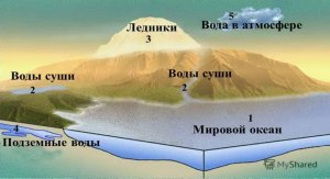 В какой из частей гидросферы содержится большая часть запасов пресной воды?