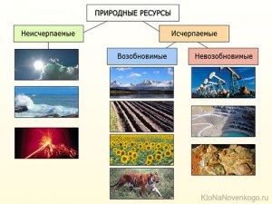 ОГЭ Гео-ия, Какие природные ресурсы относятся к исчерпаемым невозобновимым?