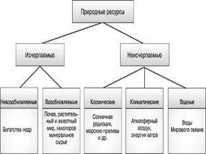 ОГЭ Геогр-ия, Какие природные ресурсы относятся к исчерпаемым возобновимым?