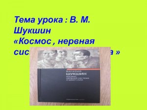 Шукшин "Космос, нервная система и шмат сала" какая проблематика рассказа?