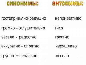 Слова "дубликат", "копия" и "одинаковый", это всё слова синонимы?