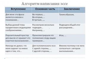 Костюнин "Поводырь" как написать эссе, выразив свои понимание произведения?