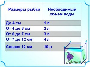 Какое решение - на 1 см тела рыбки требуется 3 л воды?