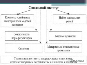 Какие есть признаки социального института ( на примере института армии )?