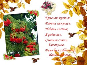 «Красною кистью», что значит "рябина зажглась", "спорили сотни колоколов"?