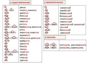 Какие есть слова с суффиксом -ц-?