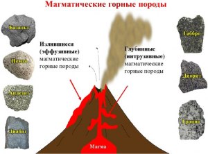 Кто ведет себя достойно и честно в романе А.С.Пушкина "Капитанская дочка"?