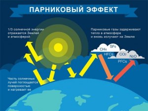 ОГЭ География, Какие газы относятся к числу парниковых?